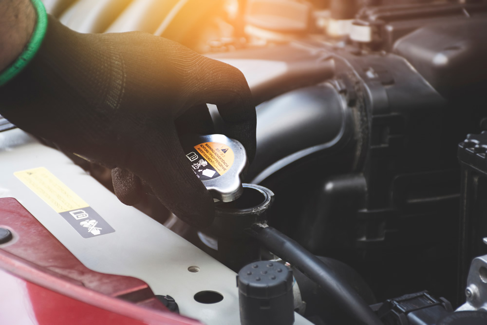 auto radiator